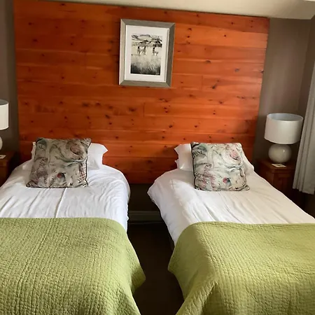 מלון Oyo Cocketts ברייסון סיטי